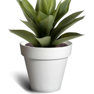 Eleni 900 Pot