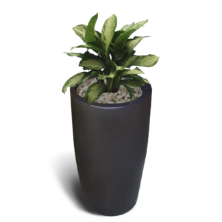 Indiana Pot