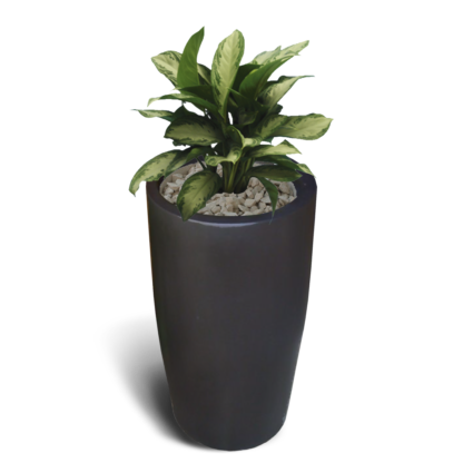 Indiana Pot
