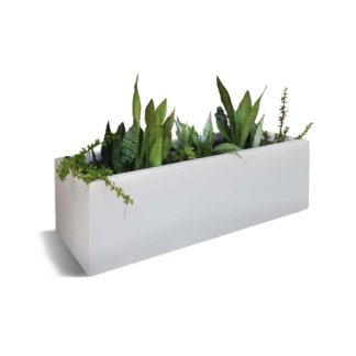 Kenji Pot