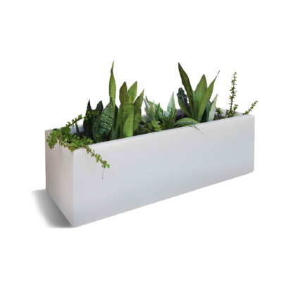 Kenji Pot