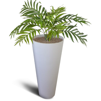 Kumiku Pot