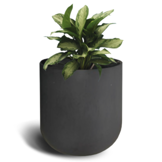 Mamoko Pot