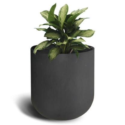 Mamoko Pot