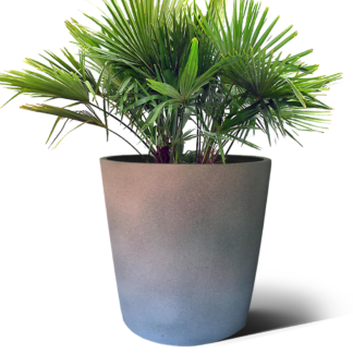 Philippa Pot