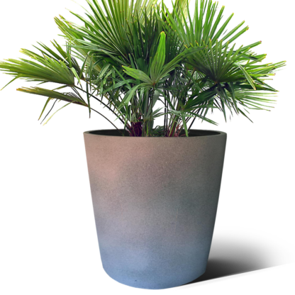 Philippa Pot