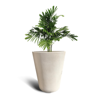 Mitsi 500 Pot