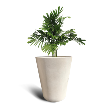 Mitsi 500 Pot