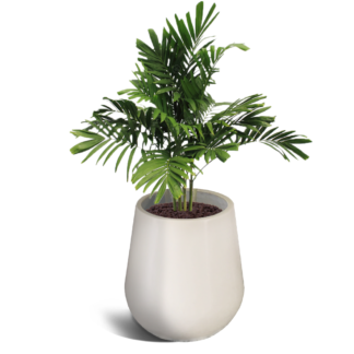 Pepita 500 Pot