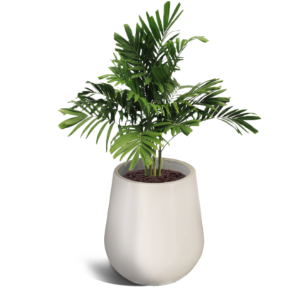 Pepita 500 Pot
