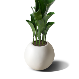 Kiara 250 Pot