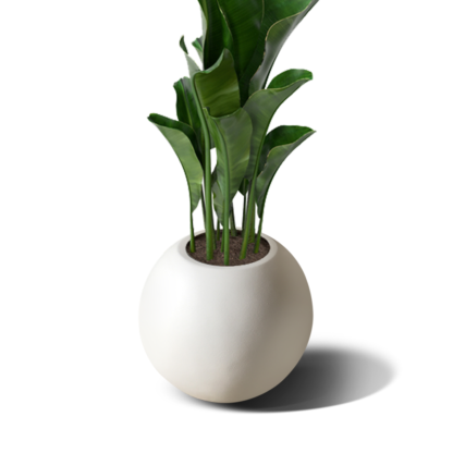 Kiara 250 Pot