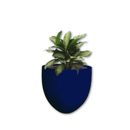 Mama Africa 400 Pot - Image 2