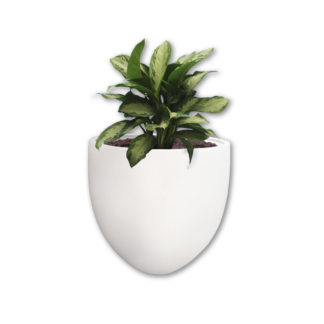 Mama Africa 550 Pot