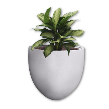 Mama Africa 700 Pot - Image 3