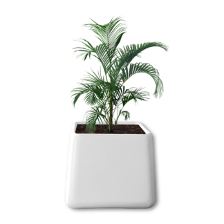Sephora 500 Pot