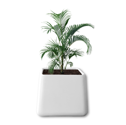 Sephora 500 Pot