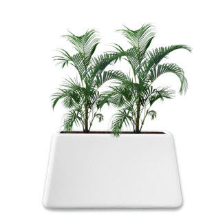 Sephora 650 Pot