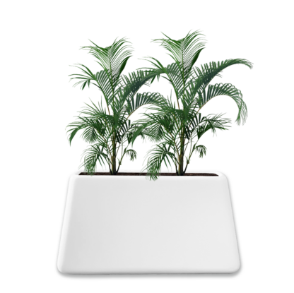 Sephora 650 Pot