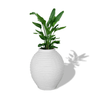 Linea Pot