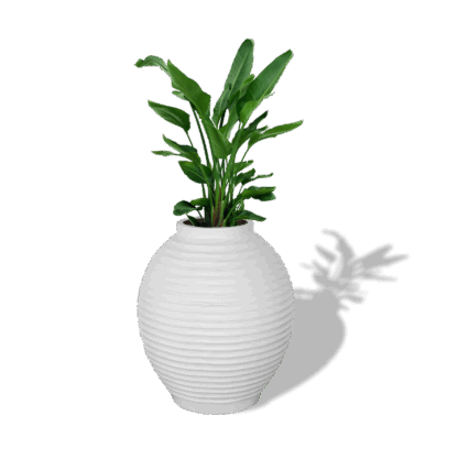Linea Pot