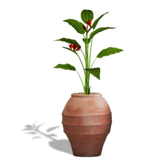 Smuki Pot